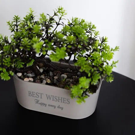 Skg View #2 * Soluň